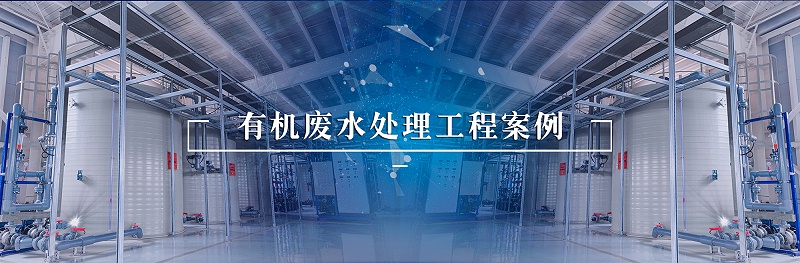 有機(jī)廢水處理工程案例