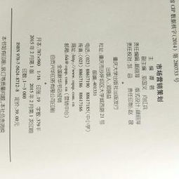 市場營銷策劃 從戰(zhàn)略布局到價值實現(xiàn)的完整指南